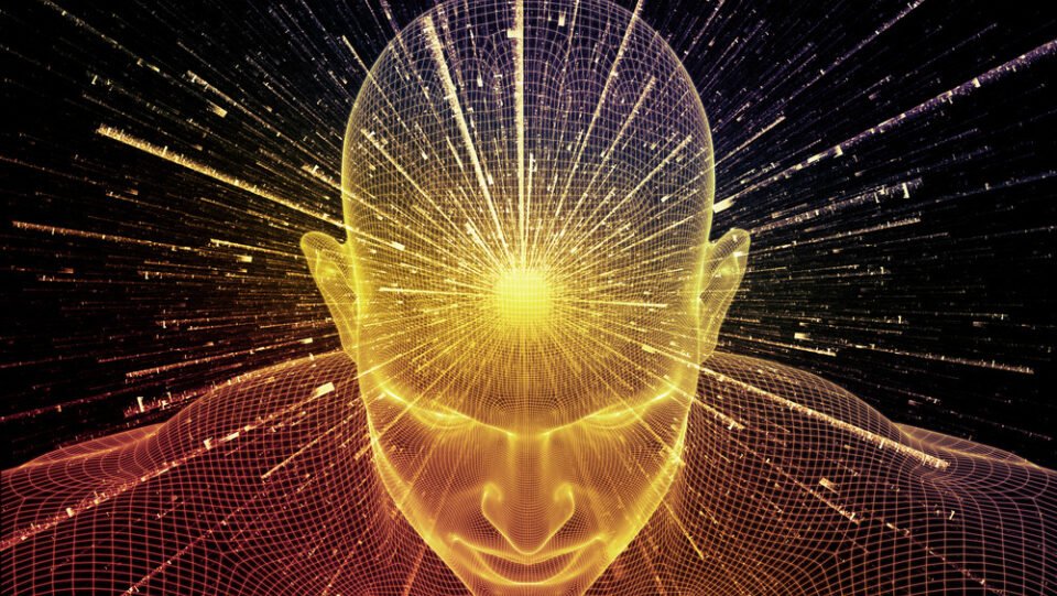 shutterstock-229039786